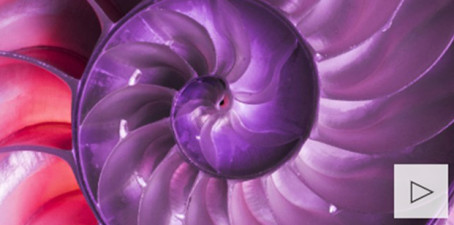 bg_monthlyinc220126smll