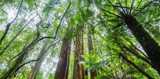 abrdn_sustainable010623a