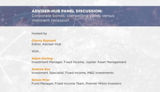 ahpanelvid2_120122-1