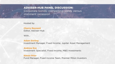 ahpanelvid2_120122-1