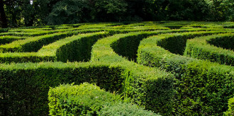 Article-Direction-05-smll2024