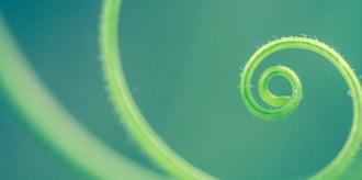 Article-Grow-01-smll2024