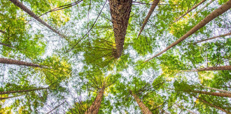 Article-Grow-02-smll2024