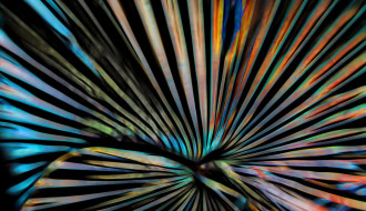 BaIllie Gifford_ManagerInsight_ MultiAssetIncome Fund July 2020 holding image