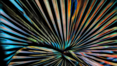 BaIllie Gifford_ManagerInsight_ MultiAssetIncome Fund July 2020 holding image