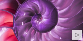 bg_monthlyinc220126smll-1