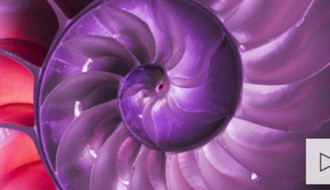 bg_monthlyinc220126smll