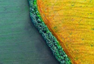 esg1_bailliegifford3aug22a