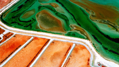 MA Income retrospective Website-holding-1920x1080