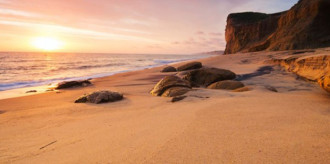 ninone_quality201124