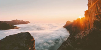 ninone_uselection201124