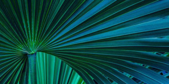 nione_investing200126esg