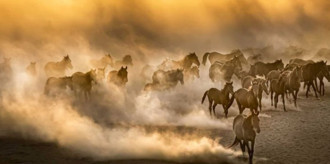 nione_navigating230126