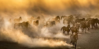 nione_steadier120226