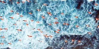 nione_venezuela140126