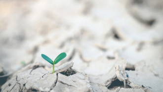 ESG 28  - abrdn-img-esg-28-High-Res-RGB_strength_image